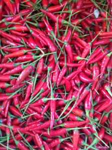 Chillis at the market